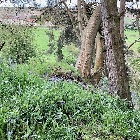Church House Farm Danby Esterno foto