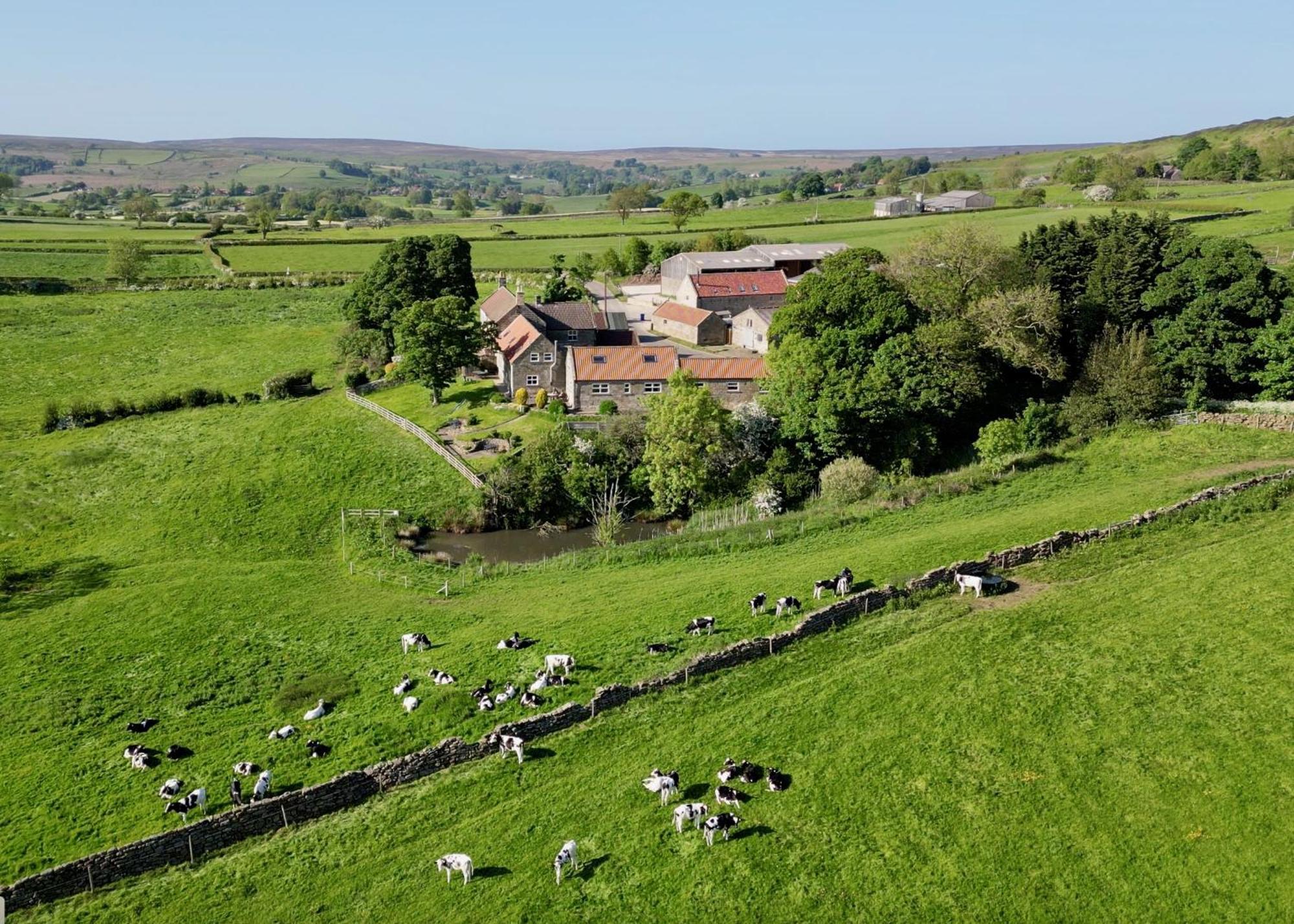 Church House Farm Danby Esterno foto