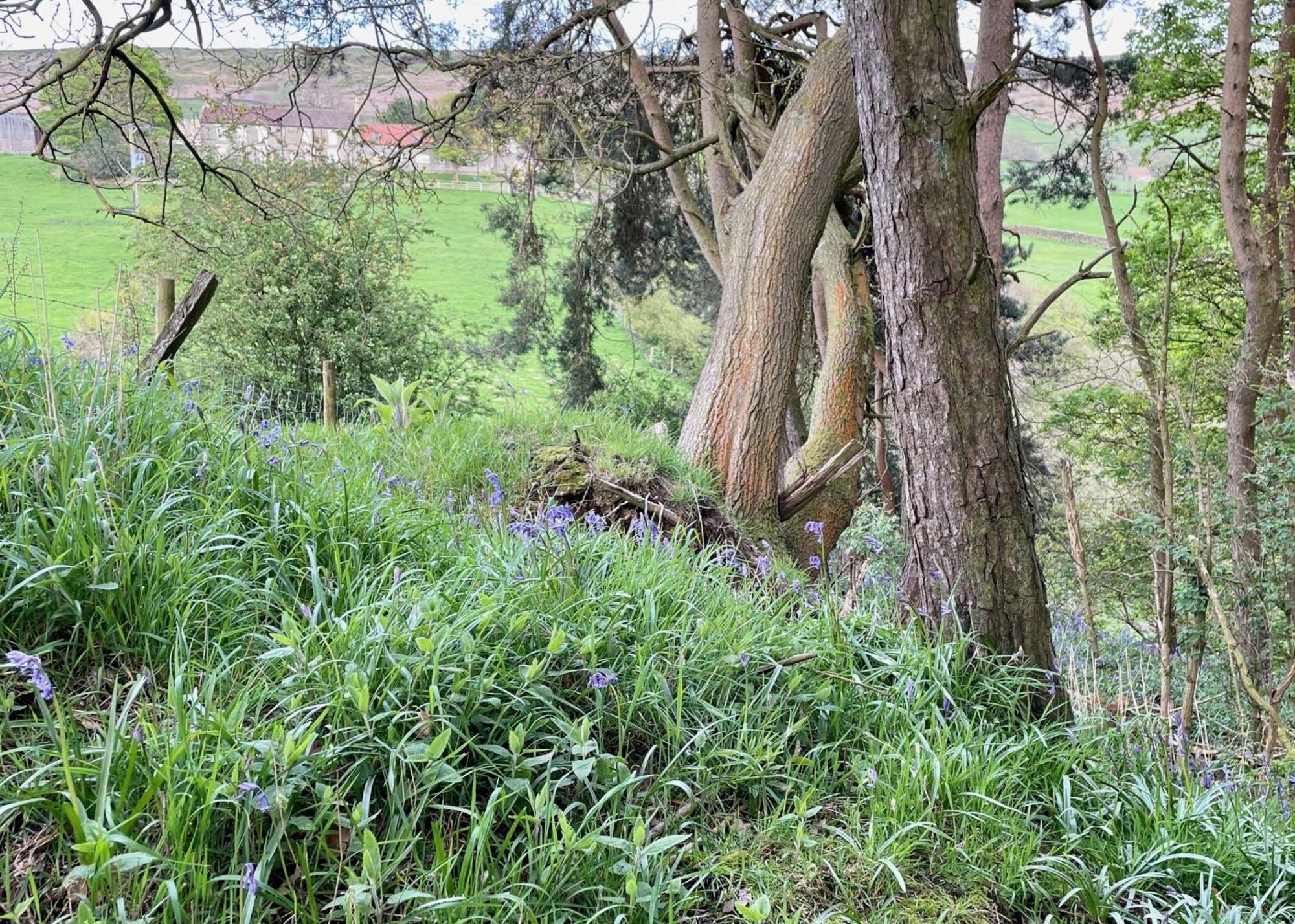 Church House Farm Danby Esterno foto