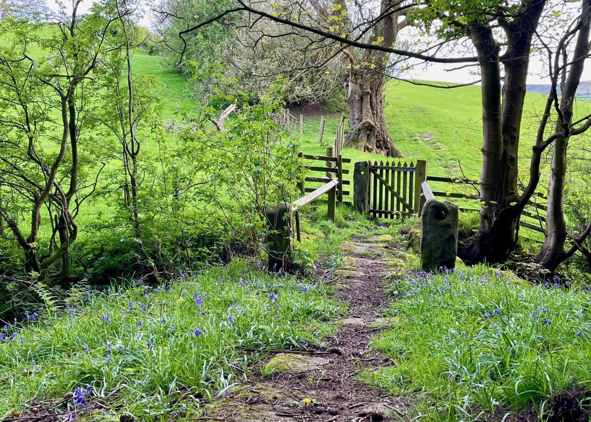 Church House Farm Danby Esterno foto